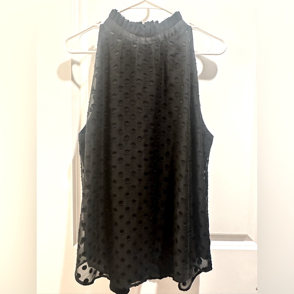 Two Ann Taylor Tops